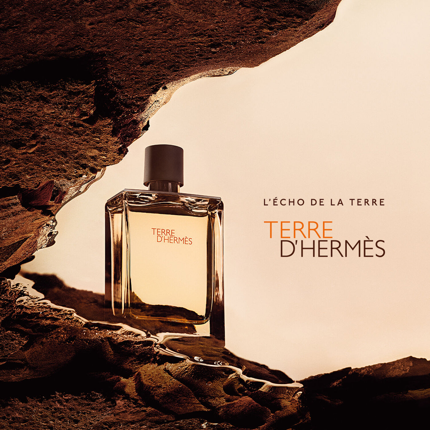 Terre D’Hermès